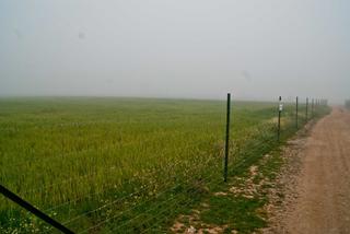Finca rústica a Valdesalor - Rincón de Ballesteros. Terrero rustico para  cereales.