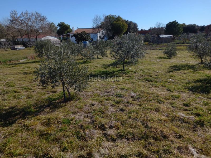Foto 050f48ae-c287-4f5d-aa18-06749f6ac277. Casa a Valdesalor - Rincón de Ballesteros Cáceres