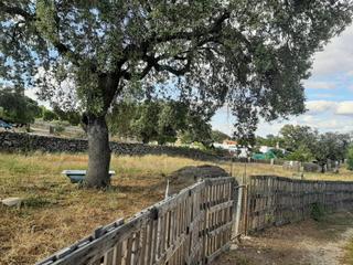 Finca rústica a Casar de Cáceres. Terreno en el monte del casar