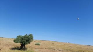 Maison à Garrovillas. Finca ganadera de 15 hectáreas en garrovillas
