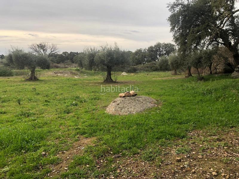 Foto 0c5e0186-6ac1-4583-a922-8f069e8a3caf. Propriété dans Montánchez