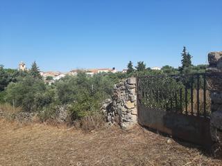 Propriété à Casas de Don Antonio. Parcela muy próxima al pueblo de casas de don antonio