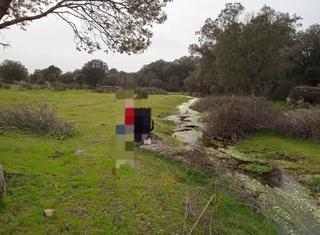 Finca rústica a Santibáñez el Bajo. Finca de 15 hectáreas en santibáñez el bajo