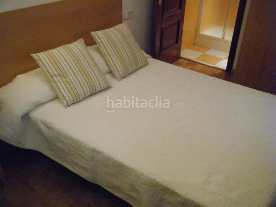 Foto 056edf63-58b3-4004-85f4-0f189eb3333c. Alquiler apartamento estudioloft en cánovas en Casco Antiguo Cáceres