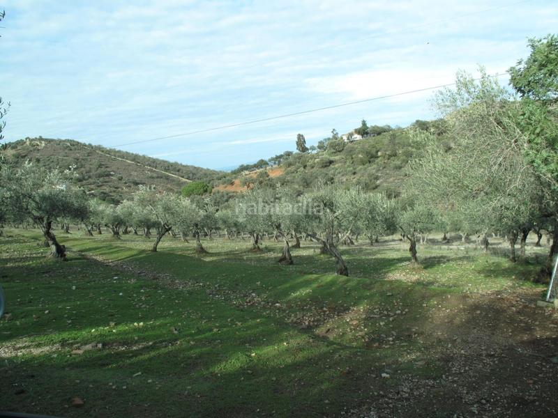 Foto 66f42b9e-1a3e-4c87-9224-c8d15ec33777. House with heating in Campus Universitario Cáceres