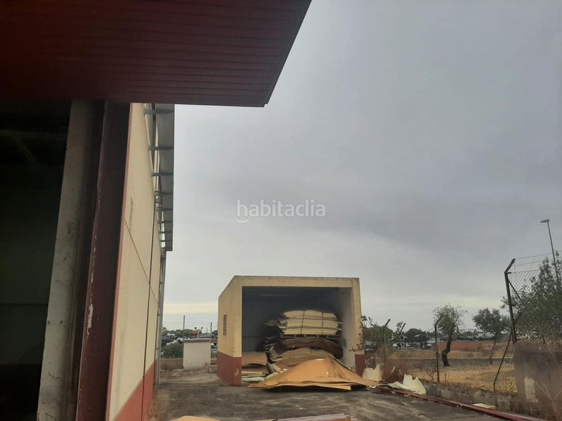 Foto cb818b8e-e41b-444b-b465-e6e0c19c9c5b. Fabrikhalle in Malpartida de Cáceres
