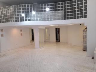 Business premise in Centro