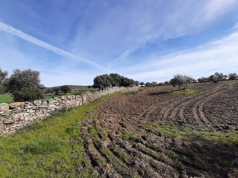 Foto 0ef19e1c-6a9b-49fb-807b-52527d56e501. Finca rústica a Botija