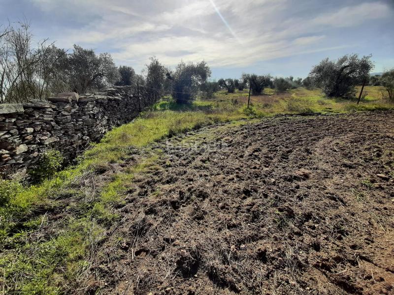 Foto 5ffaefbd-a154-4ef9-b4d0-491338b13732. Finca rústica a Botija