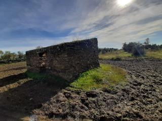Finca rústica a Botija. Olivar con una construcción para reformar de unos 26 metros