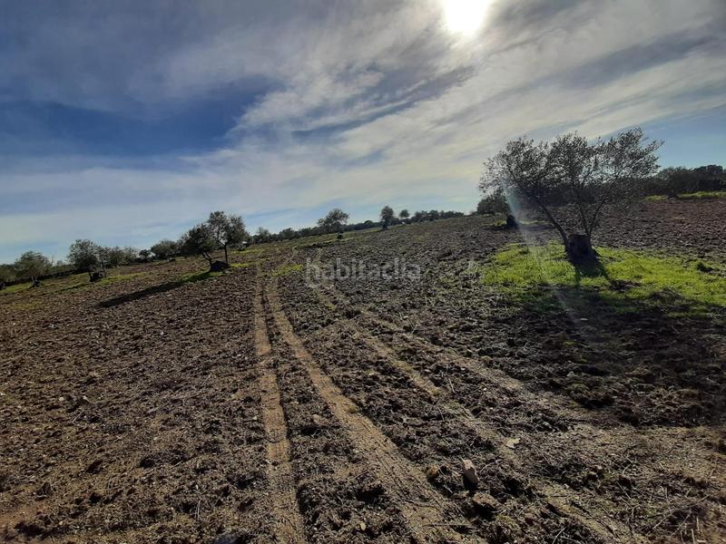Foto a18b8c69-cd3c-4766-b779-b1bfd04d6095. Finca rústica a Botija