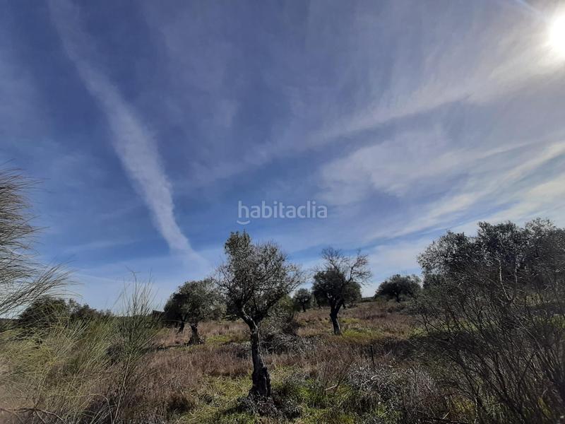 Foto a8695328-1003-4da0-bd49-abfedb6af9e7. Finca rústica a Botija