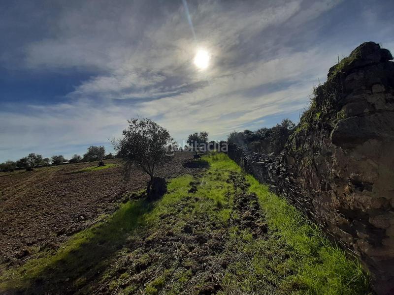 Foto d8a33397-4d27-4350-8097-d18913822dd3. Finca rústica a Botija