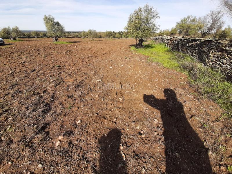 Foto be46b257-773e-4e99-9c77-a6e06a02c5fc. Finca rústica a Botija