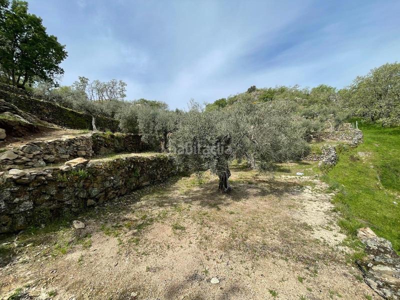 Foto c29685b9-b89b-4bdd-8864-332590540ef5. Finca rústica parcela de 10 hectáreas en Montánchez