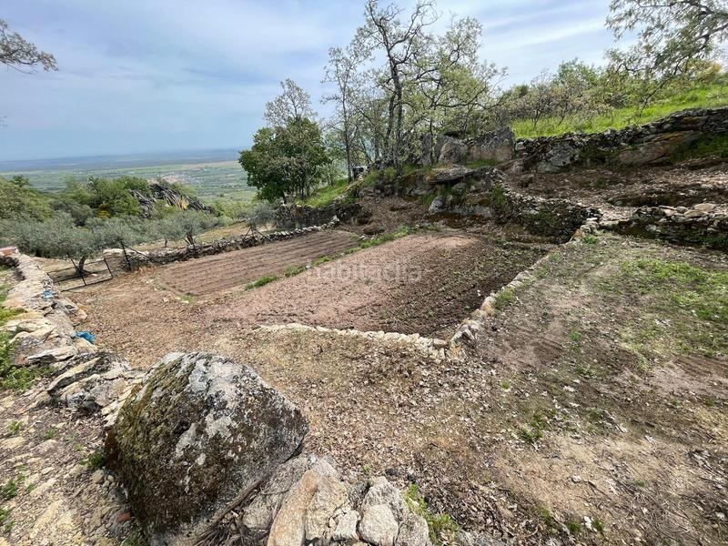 Foto e1f2ed4c-bc48-4d3f-8318-14c7fcaf5804. Finca rústica parcela de 10 hectáreas en Montánchez