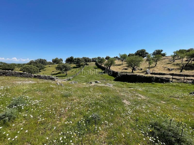 Foto 1f1d8ef1-fe86-421f-8bbe-6e0b92a50fa7. Finca rústica a Garrovillas