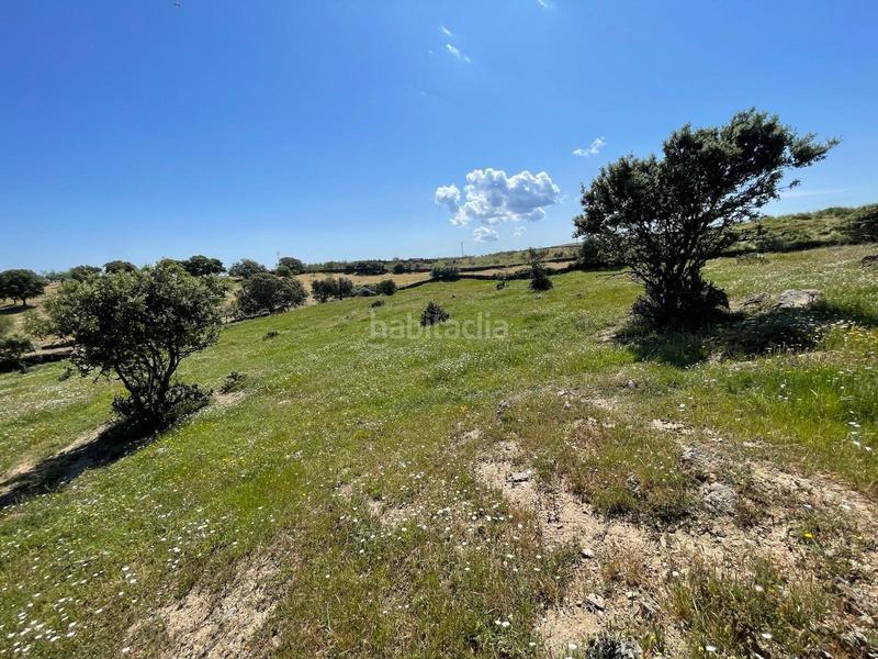 Foto 4b98af85-a2a3-438b-a51d-0a291dbf867d. Finca rústica a Garrovillas