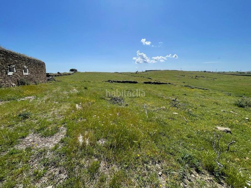 Foto 57ffa6e0-1673-45eb-9547-a7f306b633fd. Finca rústica a Garrovillas