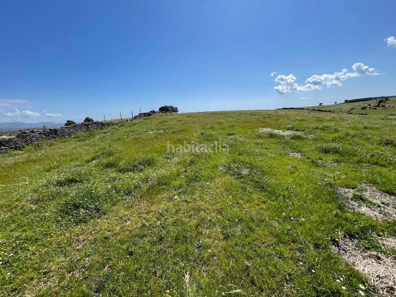 Foto 868d5363-edac-4061-bd34-69ac3488b2eb. Finca rústica a Garrovillas