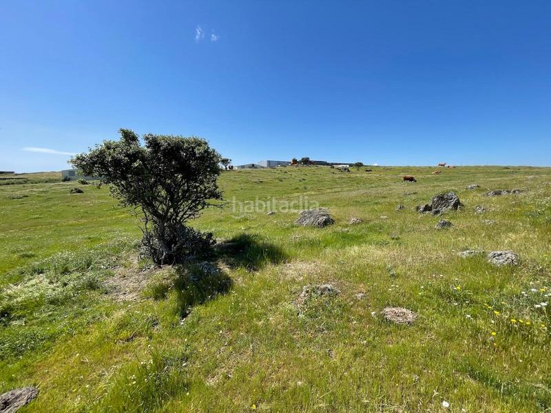 Foto 86f5fcc1-bb02-429b-85ad-2625b6e4fd9c. Finca rústica a Garrovillas