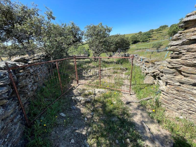 Foto a3dfa90a-9d03-402c-b753-09440325bc0a. Finca rústica a Garrovillas