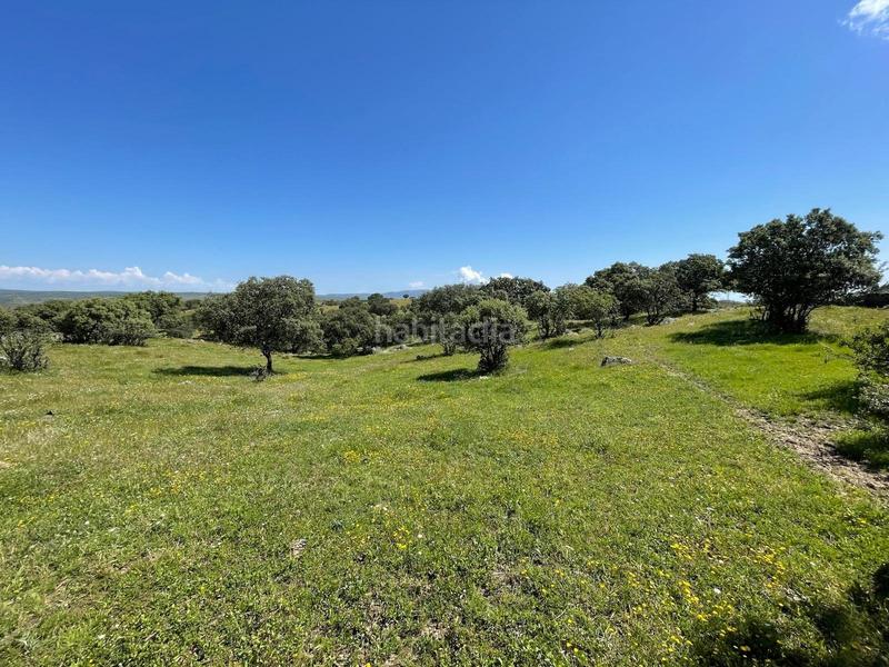 Foto ac033b0e-2e61-49d2-bfff-6c4ead030fa8. Finca rústica a Garrovillas