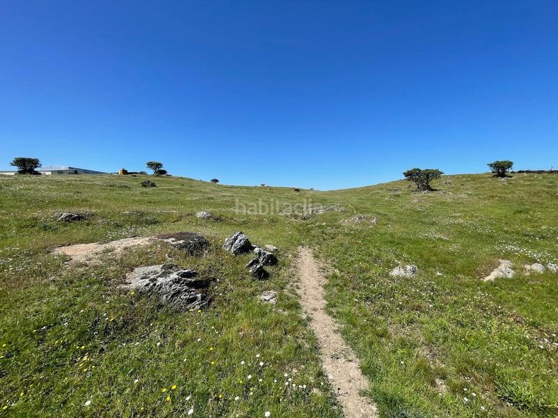 Foto d841b31f-0525-4c67-aa7f-f914ec509534. Finca rústica a Garrovillas