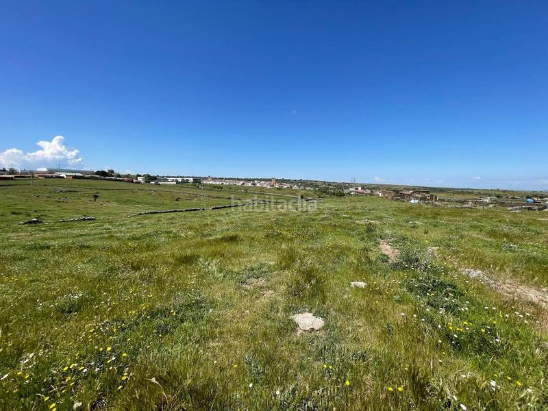 Foto d986c3a3-0f5b-406e-ba7c-313a2320aecf. Finca rústica a Garrovillas