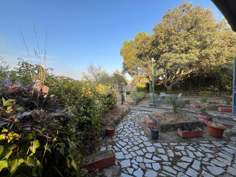 Foto 3b16a604-d61b-4051-9c62-27ae8b4020ae. Casa  con terreno, piscina y zona de ocio en Valdesalor - Rincón de Ballesteros Cáceres