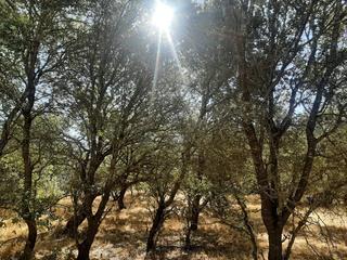 Finca rústica en Torreorgaz. Parcela en venta en el pantano de valdesalor