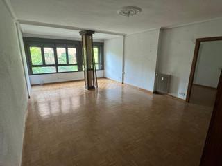 Pis a Centro. Pisazo en pleno centro