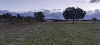 Casa a Casar de Cáceres. Finca de casi cinco hectáreas con una construcción de unos 80 me