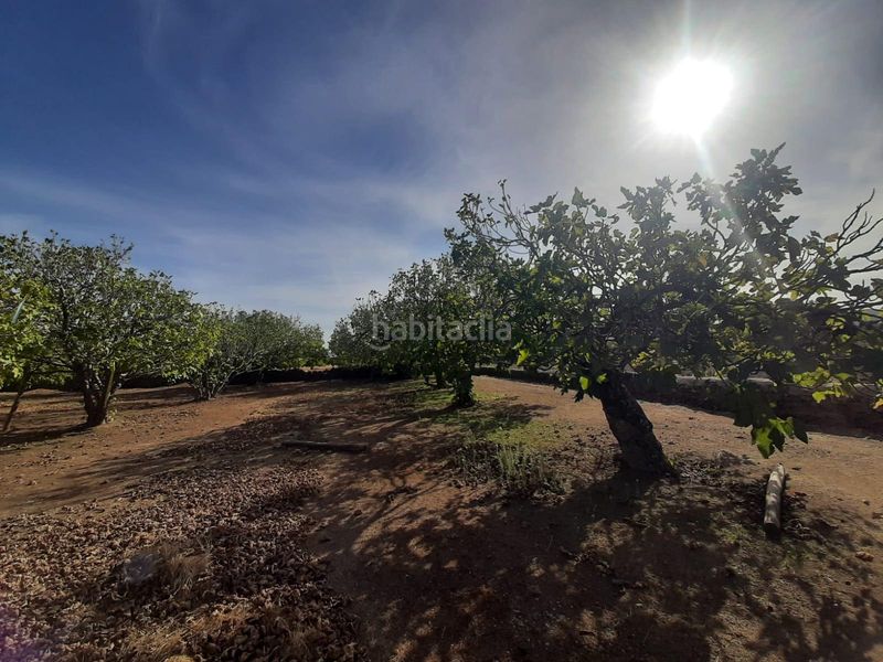 Foto e8045850-0b36-4055-8fe5-70ceda5e6a43. Finca rústica a Torre de Santa María