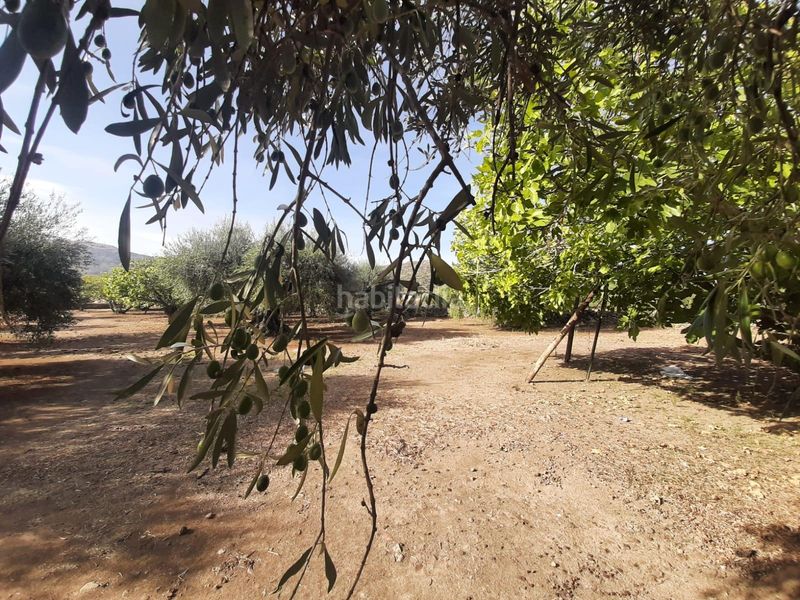 Foto ffabaebd-130f-4ad3-a910-86b6f20c997d. Finca rústica a Torre de Santa María