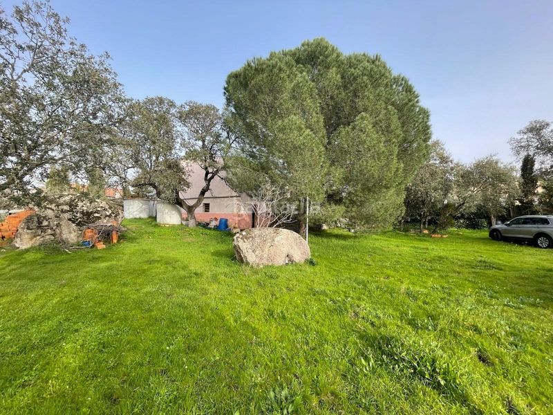 Foto adaa6f5e-74ca-4f1d-b77a-47bd97aba025. Casa  de campo con terreno en carretera de badajoz en Cáceres