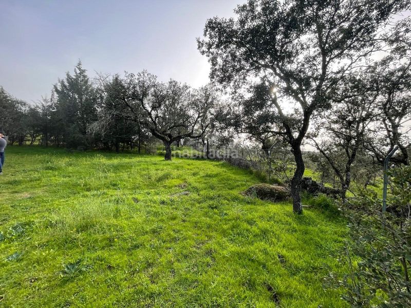 Foto c37ba472-ac8e-47eb-9aa8-eafb89719979. Casa  de campo con terreno en carretera de badajoz en Cáceres