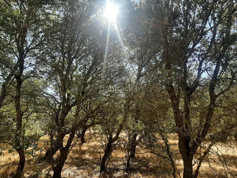 Foto 031bd1c7-e983-4127-9d1e-d3adc4bd1282. Finca rústica a Torreorgaz