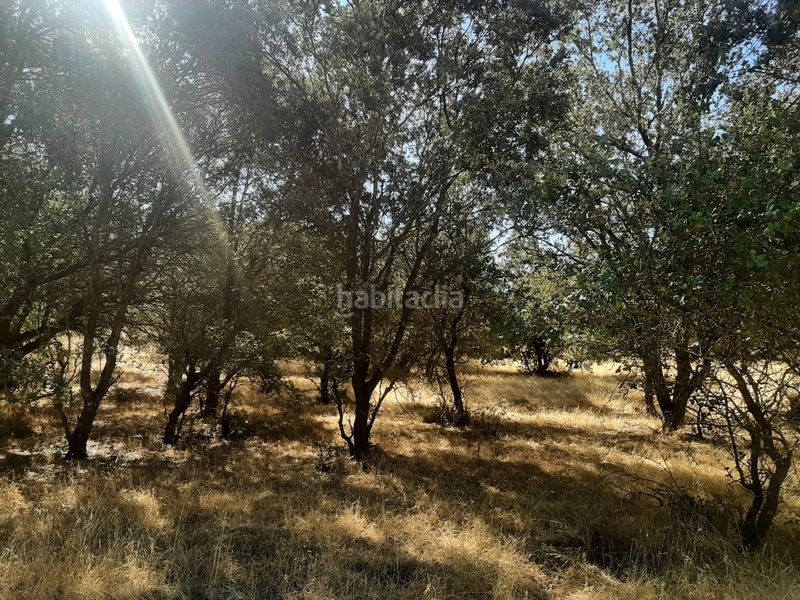 Foto 10a36e66-fb64-4915-8f40-d9a66caa2d7b. Finca rústica a Torreorgaz