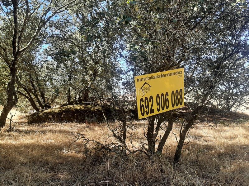 Foto 4b352556-8ee6-45d6-8062-56cabab24849. Finca rústica a Torreorgaz