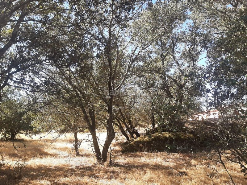 Foto ece2ed7f-43e0-4287-852b-e63f598e1f12. Finca rústica a Torreorgaz