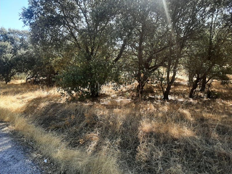 Foto fa95ba72-b639-41a9-b175-55aa35b25aae. Finca rústica a Torreorgaz