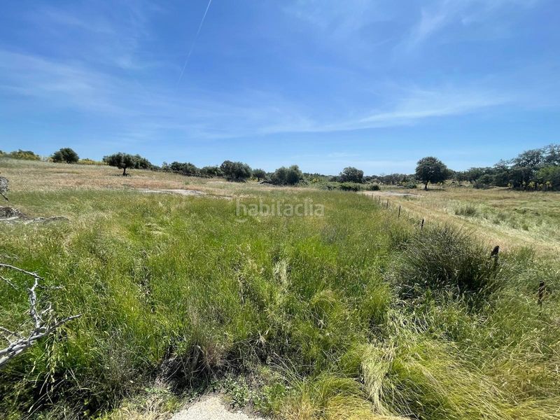 Foto 48f7133b-9706-4625-af6e-5353d32b6e0c. Finca rústica a Arroyo de la Luz