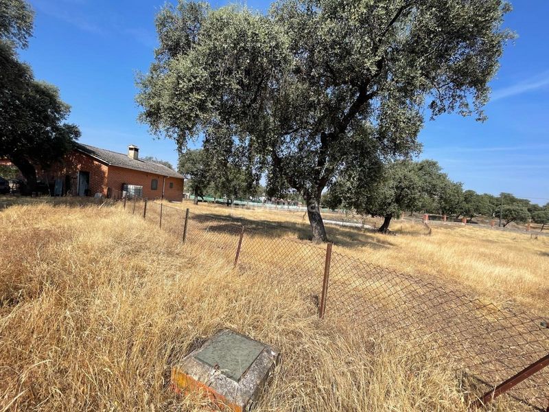 Foto 5cb4e5db-7c60-4012-a68f-9a31d630d4ae. Casa a Valdesalor - Rincón de Ballesteros Cáceres