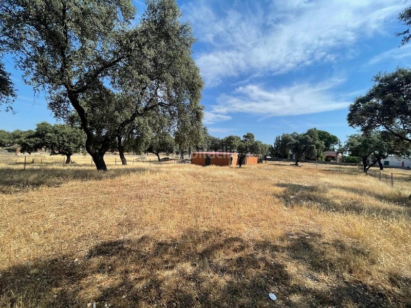 Foto eccf6712-c631-4aee-8eae-5622505aee64. Casa a Valdesalor - Rincón de Ballesteros Cáceres