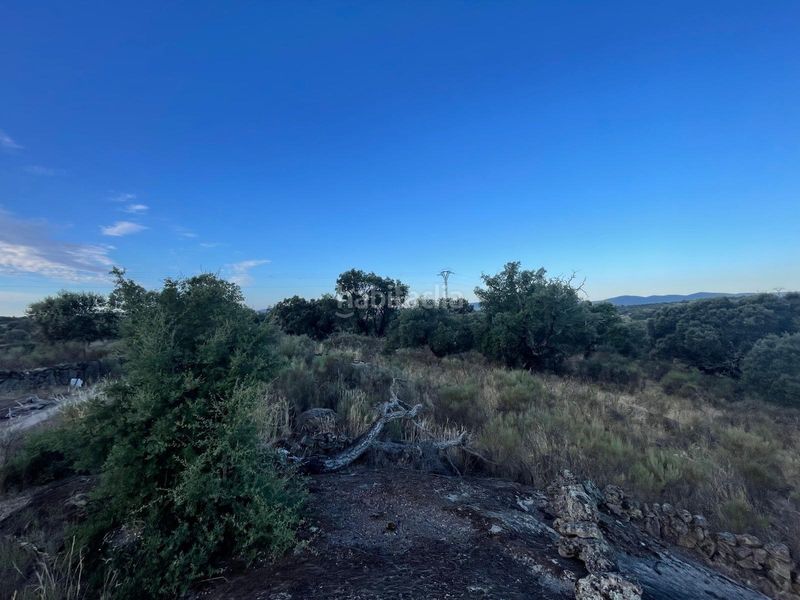 Foto 1bd8f8e7-9122-4864-b950-702728181805. Finca rústica a Aldea del Cano