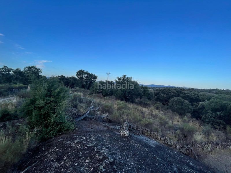 Foto 78a583fe-9378-4bed-accc-8b38f0a756a2. Finca rústica a Aldea del Cano