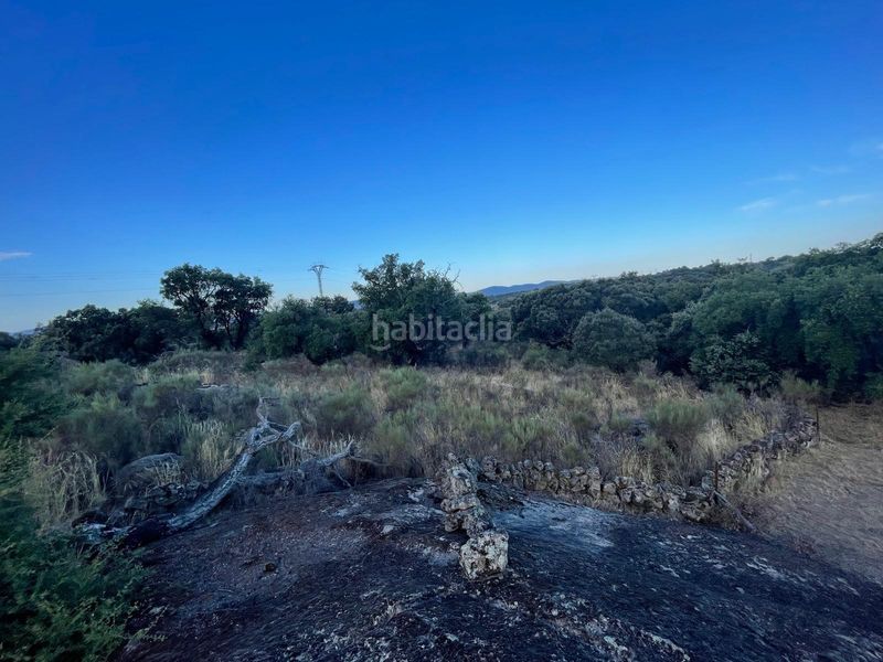 Foto b55b7db9-55cf-42ad-8eb2-9f039a75d5b3. Finca rústica a Aldea del Cano