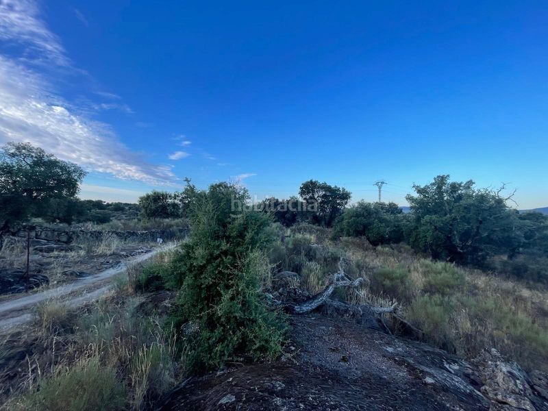 Foto e5e2d5c7-94a5-4000-b3cb-32770fd21aa1. Finca rústica a Aldea del Cano