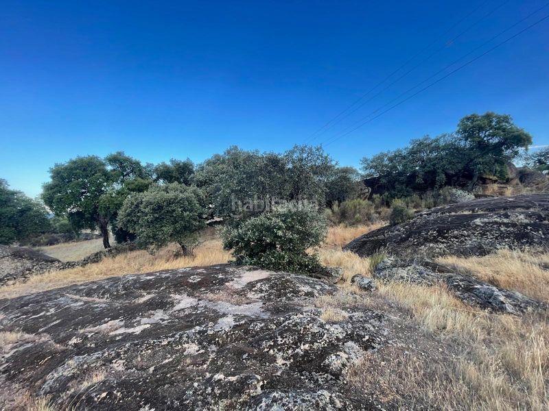 Foto a488046c-b020-4ebc-acb4-776f602c1df9. Finca rústica a Aldea del Cano